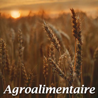 AgroAlimentaire