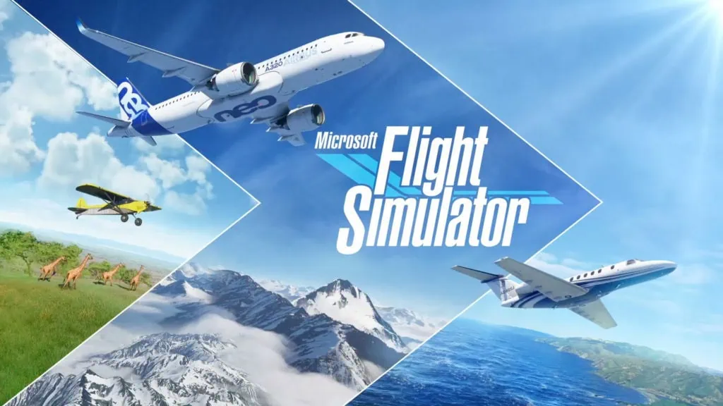 Avion flight simulator