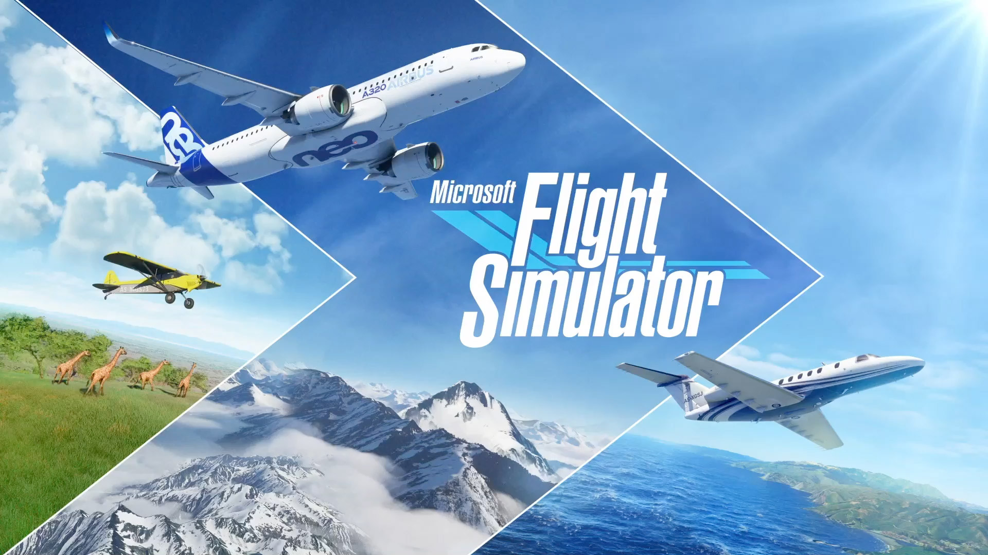 Avion flight simulator