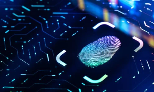 Illustration identité numérique empreinte digitale small
