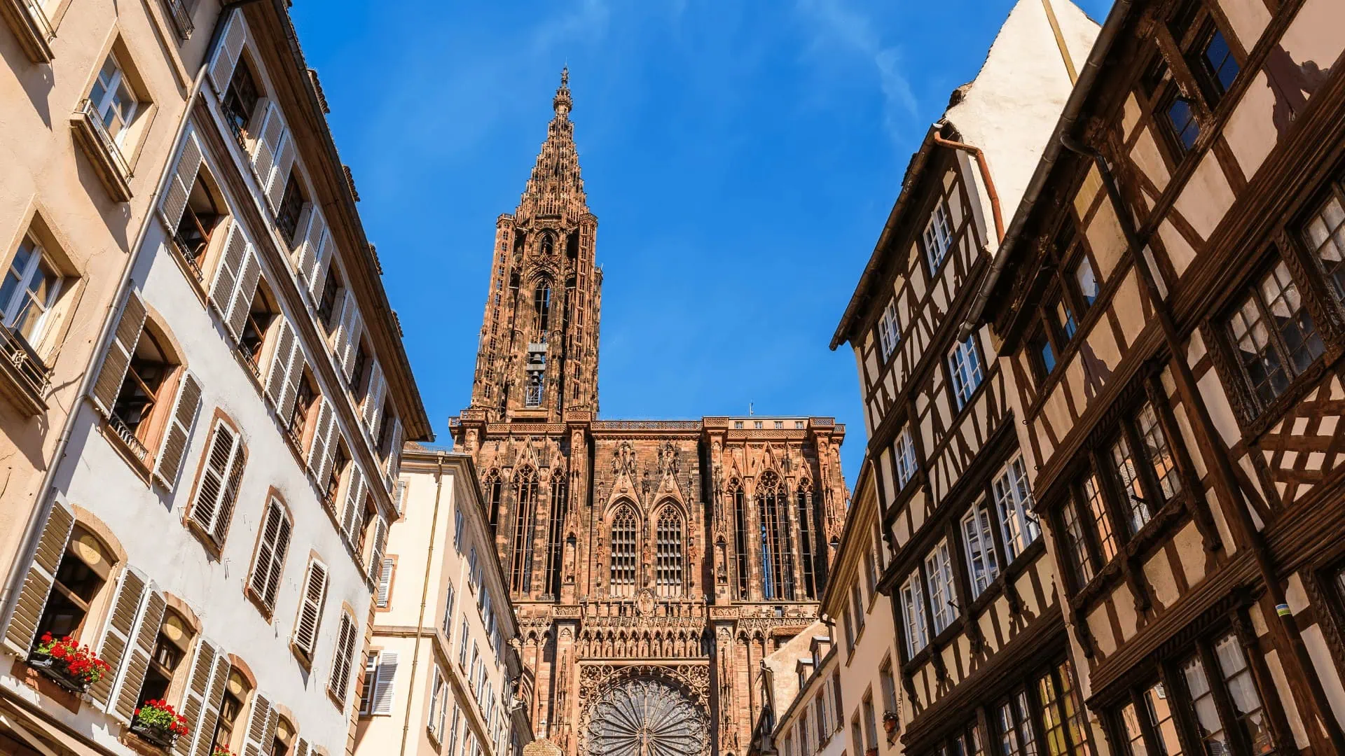Vue aérienne du centre de Strasbourg avec des entreprises locales